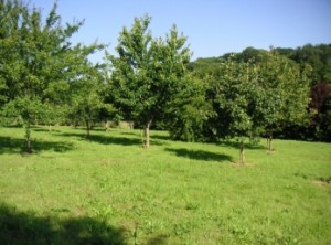 L'Huilerie Orchard 