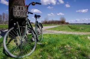 Cycling in Loir Valley